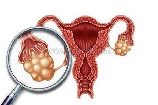 昆明找代怀女子,试管婴儿取卵前后注意事项，需警惕卵巢扭转-子宫内膜容受性