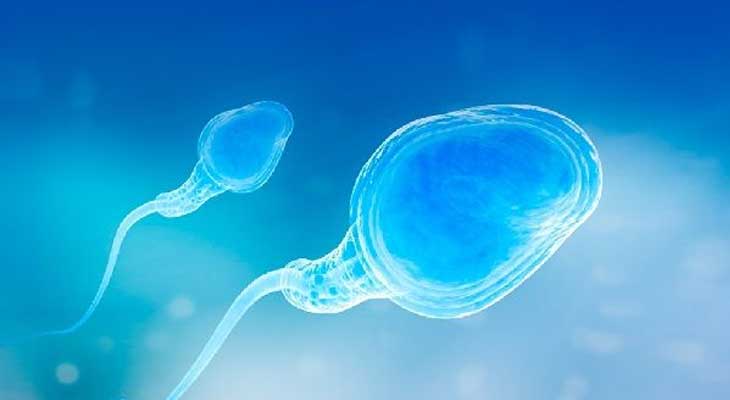 昆明正规代孕医院,试管婴儿胚胎分裂8细胞 如何分级别？-试管婴儿移植后能吃
