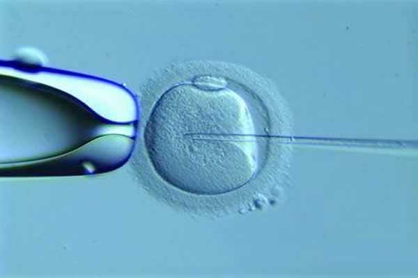 供卵产子公司_供卵试管助孕中心_2021年在兰州做试管婴儿的费用花销明细