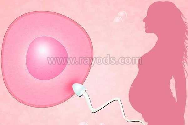 泰国供卵助孕_地下供卵试管被骗_39岁的姐妹们想通过人工授精技术助孕成功率